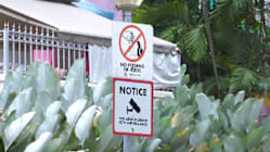 Related article image