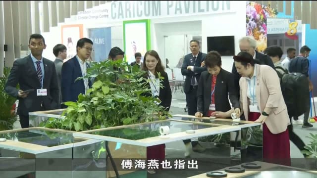 傅海燕：新型食品可作为保障粮食安全补充方案