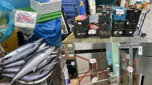 非法储存和进口蔬肉和海鲜 三家公司被罚款