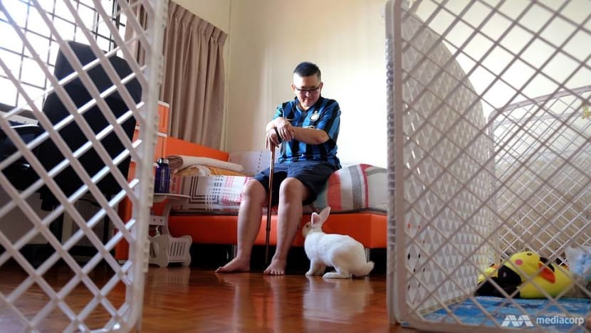 'Treated as toys': The groups fighting to save abandoned, abused pet rabbits