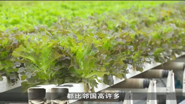 克兰芝田园协会庆祝成立20周年 盼国人支持本地农产品