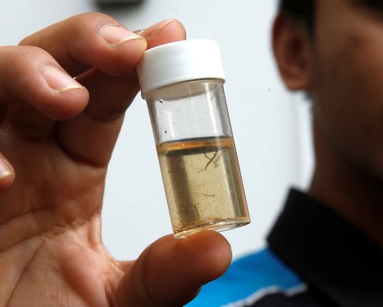 A month on, Zika tails off, but experts warn against complacency