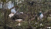 Investigators find black boxes from crashed Russia plane