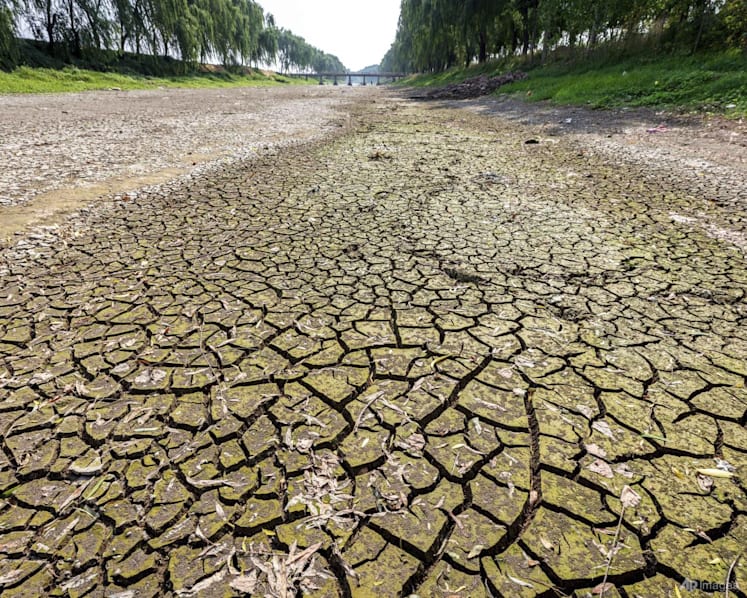 Drought, heatwave threaten harvest in China’s agricultural regions