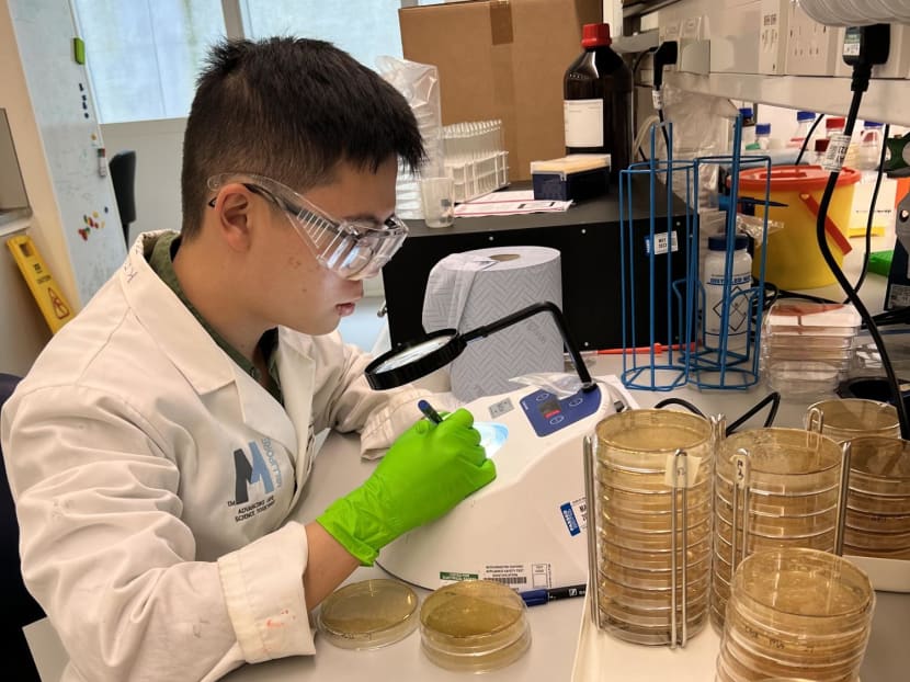 Gen Y Speaks: My obsession with zombie flicks inspired me to research groundbreaking treatments for chronic diseases Gen Y Speaks: My obsession with zombie flicks inspired me to research groundbreaking treatments for chronic diseases