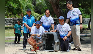 Malaysia tunggu maklum balas Thailand sebelum pertimbang import udang