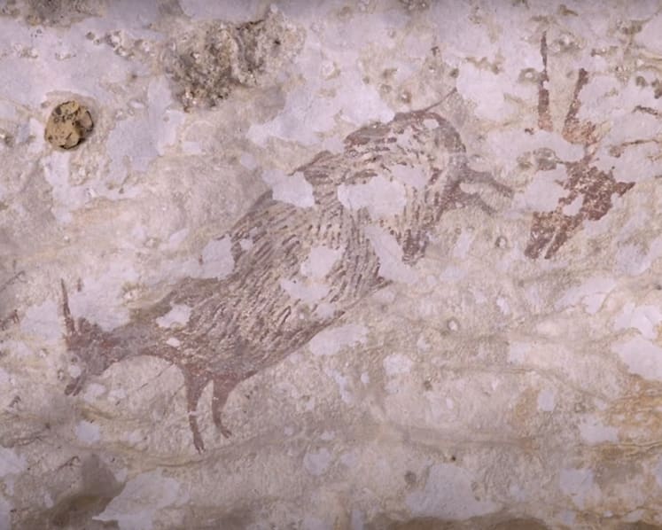 'Globally significant’ 40,000-year-old rock art in Indonesia being destroyed by climate change