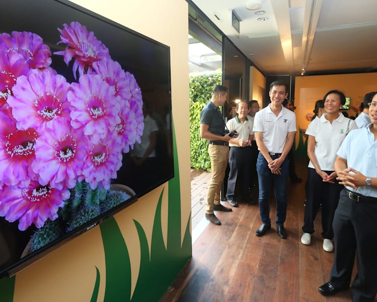 More enhancements to National Orchid Garden underway