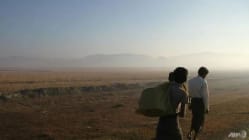 Related article image