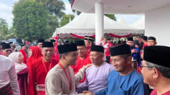 Related article image