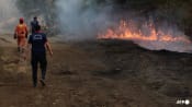 Rescuers evacuate 50,000 as Türkiye battles wildfires