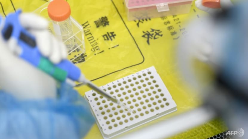 Commentary: Why investigating China for COVID-19 biowarfare allegations pose challenges Commentary: Why investigating China for COVID-19 biowarfare allegations pose challenges