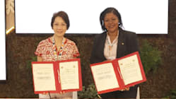 Related article image