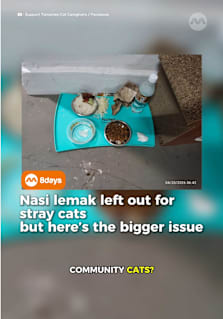 Facebook post in the “Support Tampines Cat Caregivers” group has sparked debate after a tray of food left out for community cats included items like nasi lemak with sambal, alongside dry cat food and water. While some netizens called out the practice, others noted that feeding stray cats human food such as chicken rice, mee goreng, and laksa is not uncommon in Singapore. However, organisations like the Society for the Prevention of Cruelty to Animals Singapore and Animal & Veterinary Service advise against feeding cats oily, salty, or spicy food, recommending plain cooked meat or proper cat food instead. The incident highlights ongoing concerns around responsible feeding and the well-being of community cats. #8dayssg #8dayssgtrending #pets #singapore #sgnews 