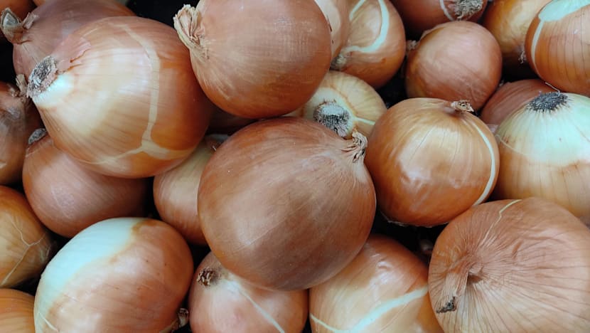 Dutch make explosive discovery in French onion delivery
