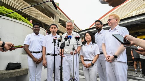 GE2025: 'Ridiculous argument' for WP to downplay potential loss of PAP ministers, says SM Lee