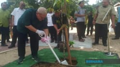 Related article image