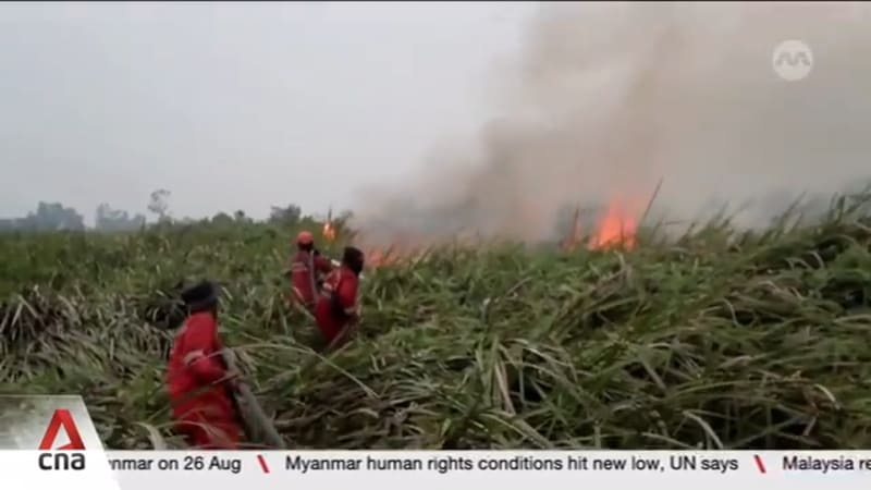 Indonesia sanctions six firms over forest fires in Kalimantan