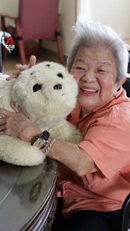 Meet the robot pets and dancing humanoids used in eldercare in Singapore