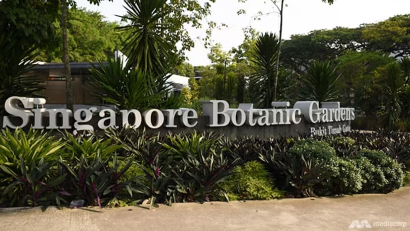 Polis beri amaran tentang seruan agar berkumpul di Kebun Bunga Singapura bagi acara berkaitan perang Israel-Hamas Polis beri amaran tentang seruan agar berkumpul di Kebun Bunga Singapura bagi acara berkaitan perang Israel-Hamas