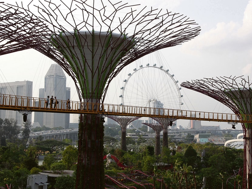 Mr Nicholas Mak, executive director of real estate firm ZACD group, said significant stretches of alignment run beneath lands with no development potential, such as the Central Expressway or the Marina Coastal Expressway or the Gardens by the Bay. TODAY file photo Mr Nicholas Mak, executive director of real estate firm ZACD group, said significant stretches of alignment run beneath lands with no development potential, such as the Central Expressway or the Marina Coastal Expressway or the Gardens by the Bay. TODAY file photo