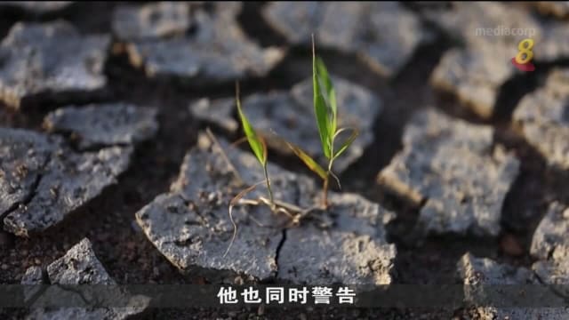 欧美地区饱受极端天气困扰 西班牙法国遭热浪袭击