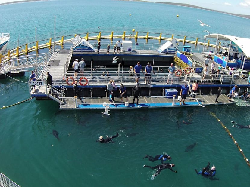 The Best Things To Do In Australia, According To Shane Pow Who Spent 6 Weeks There