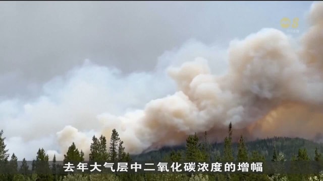 美国研究：大气层中温室气体含量去年创历史新高