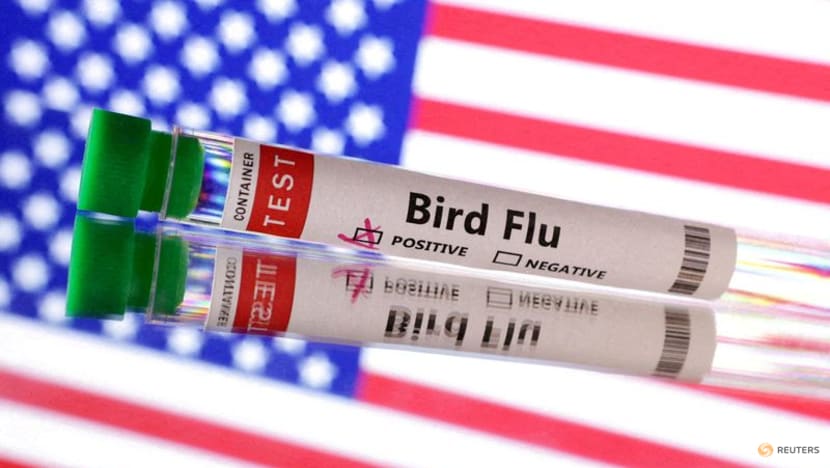 US issues order mandating bird flu testing of milk supply US issues order mandating bird flu testing of milk supply