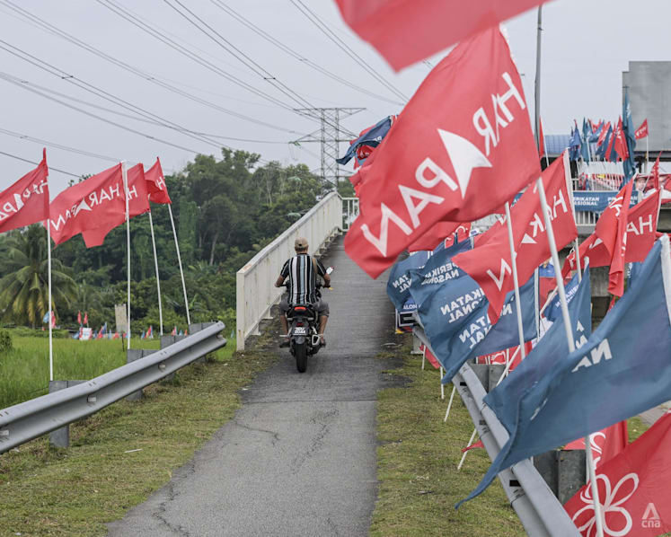 Malaysia's youth vote in focus as Negeri Sembilan heads to the polls
