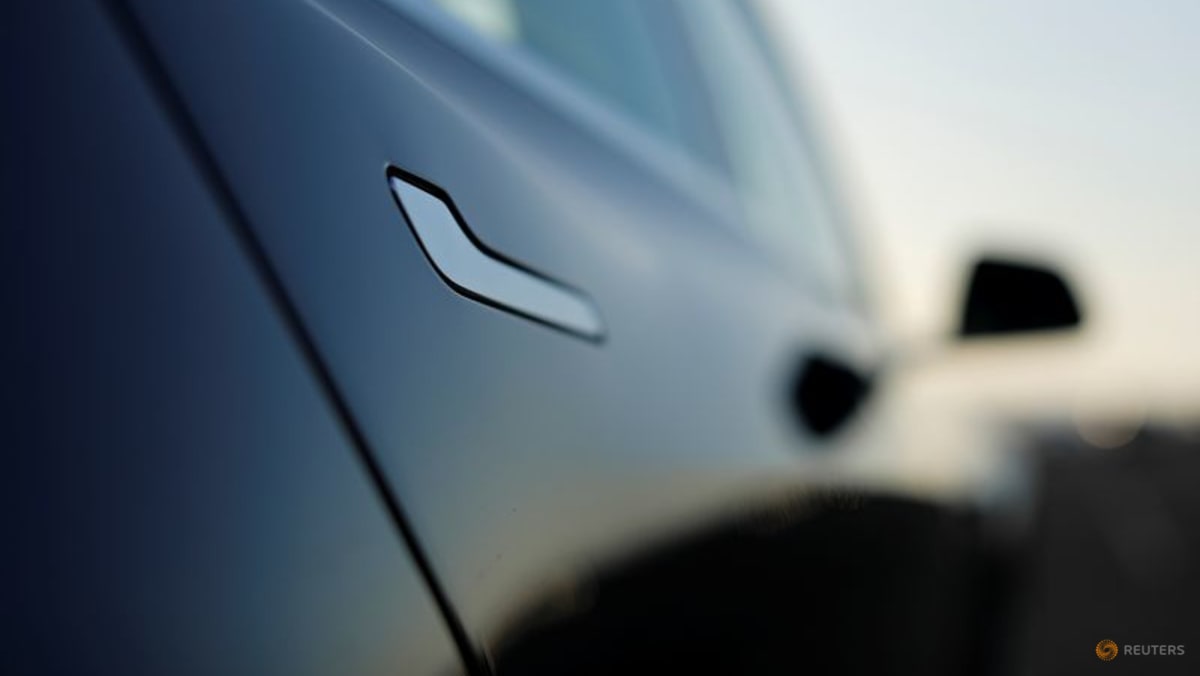 LTA assessing whether Singapore vehicles are affected by China electronic door recalls