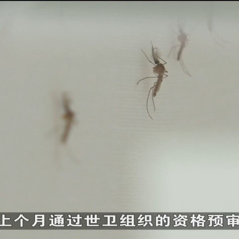 调查：低维他命D者若感染骨痛热症出现重症几率较高- 8world