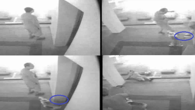 Man fell and injured brain after being shocked by neighbour's dog exiting lift, daughter sues but fails