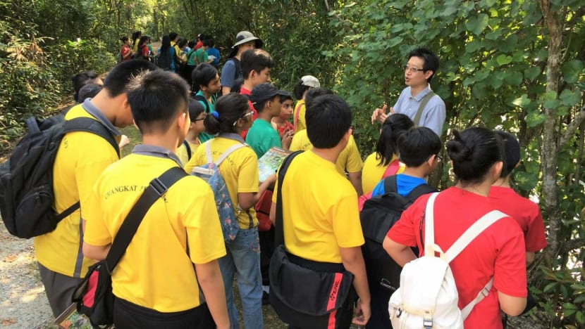 Sungei Buloh Wetland Reserve celebrates 30 years with activities and guided walks to previously inaccessible areas
