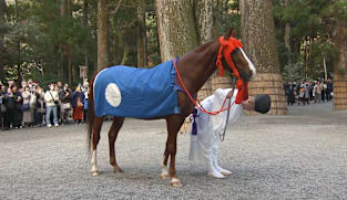 Japan Hour - Getting to Know Beautiful Japan - Leap into Good Fortune! Chasing Horses Across Japan