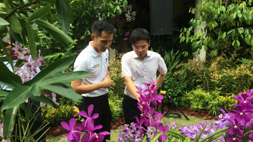 Gardens celebrating SG50 with rare orchid showcases