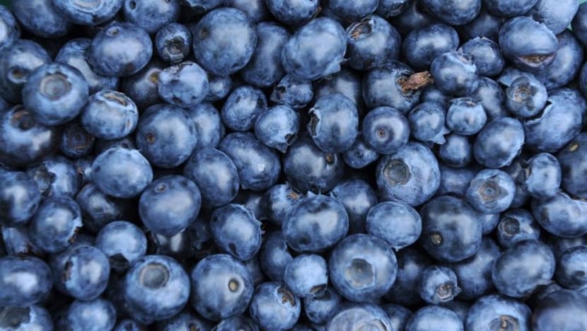 5 manfaat beri biru untuk kulit dan rambut