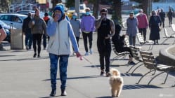 Related article image