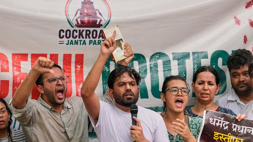 India's 'cockroach' youth movement stages first street protest in New Delhi