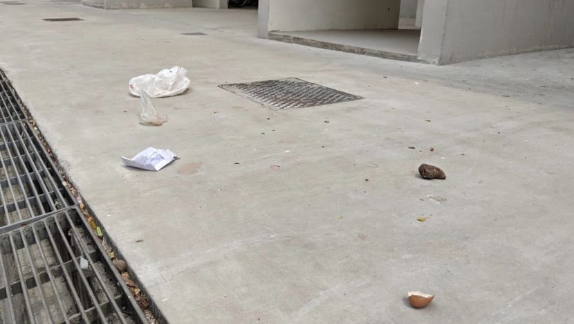 More than 1,000 enforcement actions against high-rise litterbugs in 2020: Amy Khor