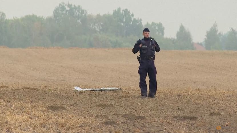 US sending anti-drone system to Denmark for EU summit