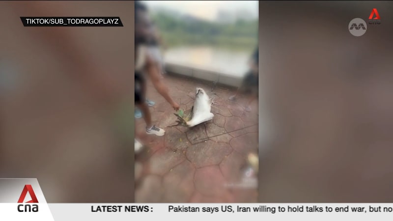 NParks reminds public to only fish in designated areas after viral video