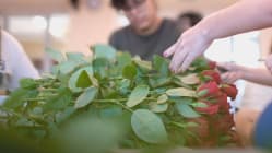 Related article image