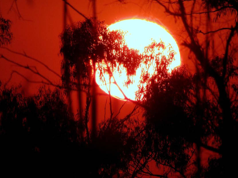  If global warming reaches 3.6°C or even 4.4°C, half of the world’s population could be left outside the climate niche, posing what the researchers call an “existential risk”.