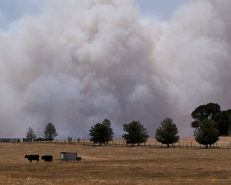 Australia heatwave fans bushfires, towns evacuated, Melbourne endures hottest day in 17 years