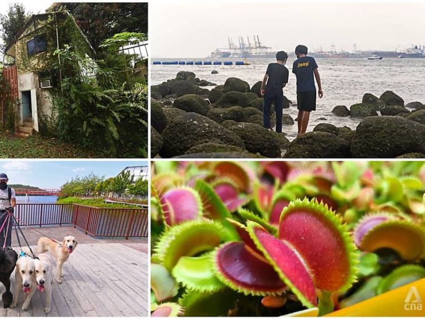 Up Your Alley: Punggol&rsquo;s gleaming waterfront living steeped in rustic charm