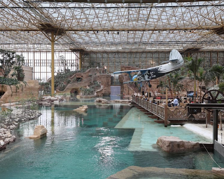 World’s largest tropical greenhouse opens at Belgium’s Pairi Daiza zoo