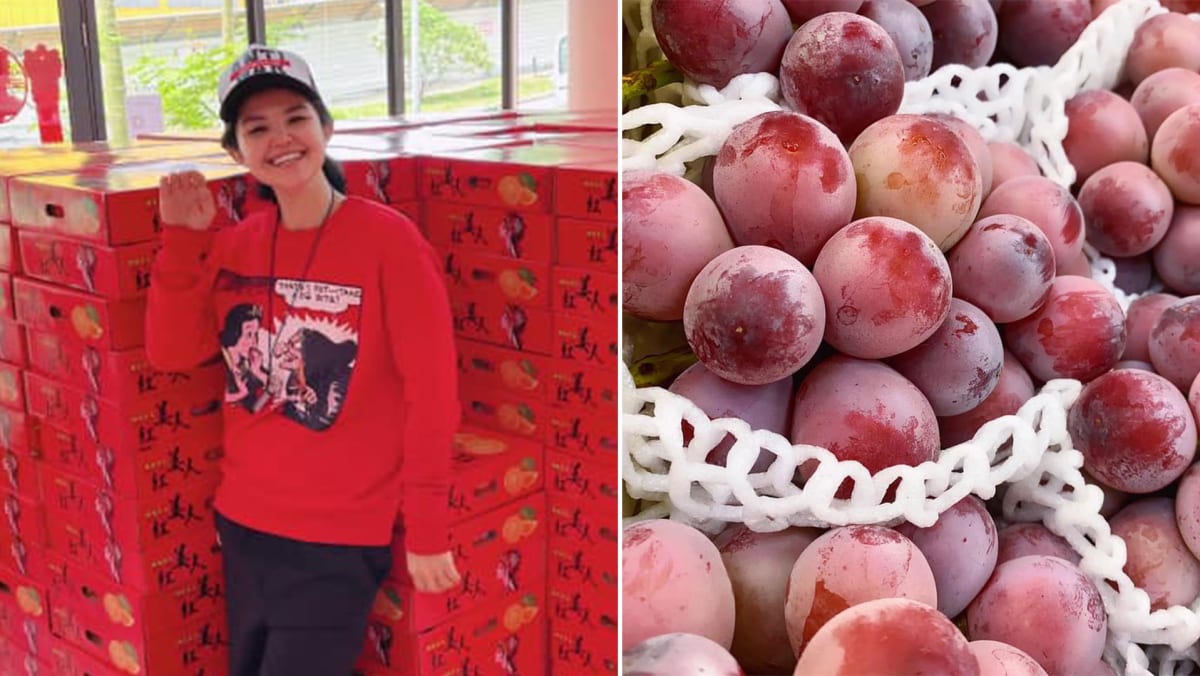 FRUITS　No.14 Freeze Dried Dragonfruit | Gracious Goodness