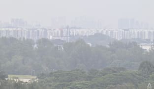 Burning smell across Singapore may be due to 'mixture of gases' from region's peatland, vegetation fires: NEA