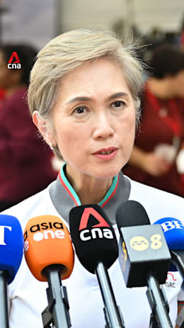 Social cohesion takes long time to build, can be broken if not careful: Josephine Teo
